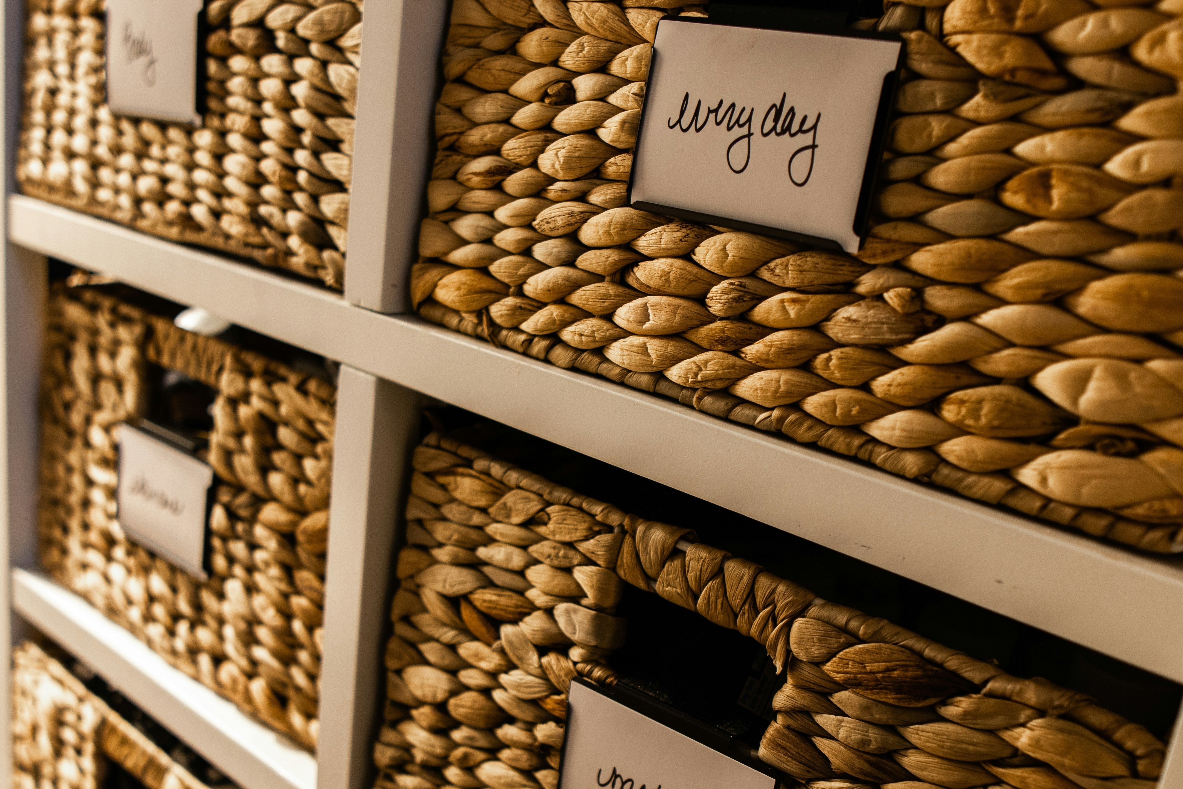 Organization